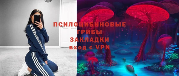 шишки Абаза