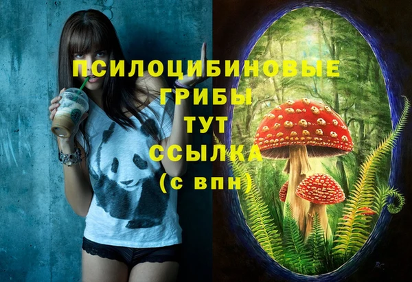 шишки Абаза