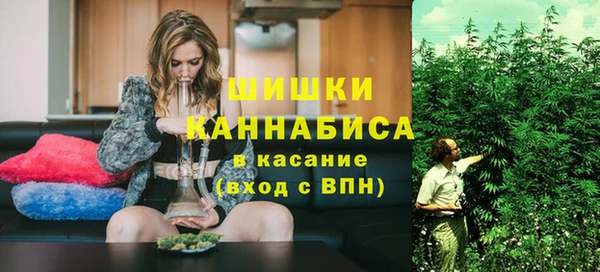 шишки Абаза
