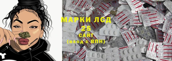 шишки Абаза
