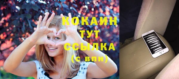 шишки Абаза