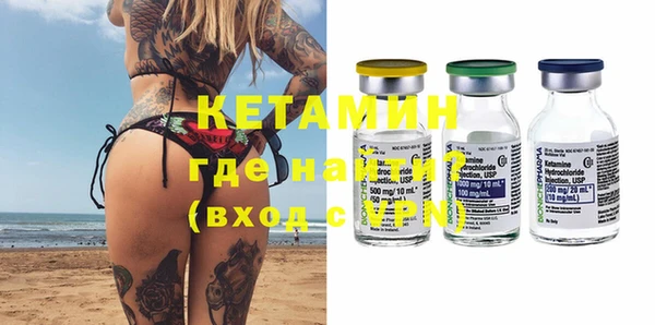 шишки Абаза