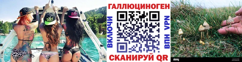 Галлюциногенные грибы мицелий  darknet состав  Советск  mega как зайти 